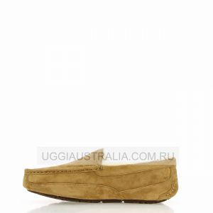Ascot Chestnut