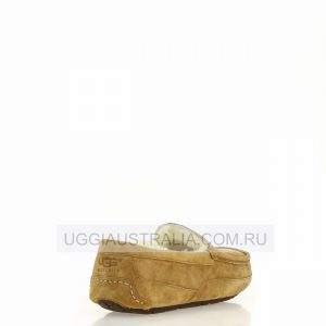 Ascot Chestnut
