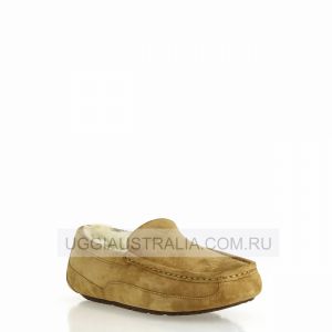 Ascot Chestnut