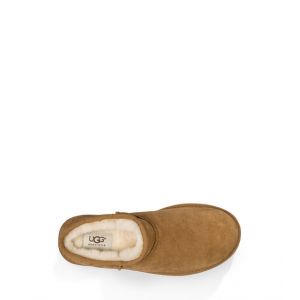 Tasman Chestnut