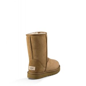 Men Classic Short II Chestnut