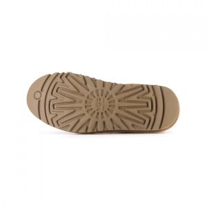 Neumel Chestnut