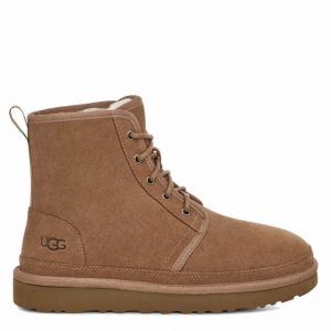 Men Neumel High Chestnut